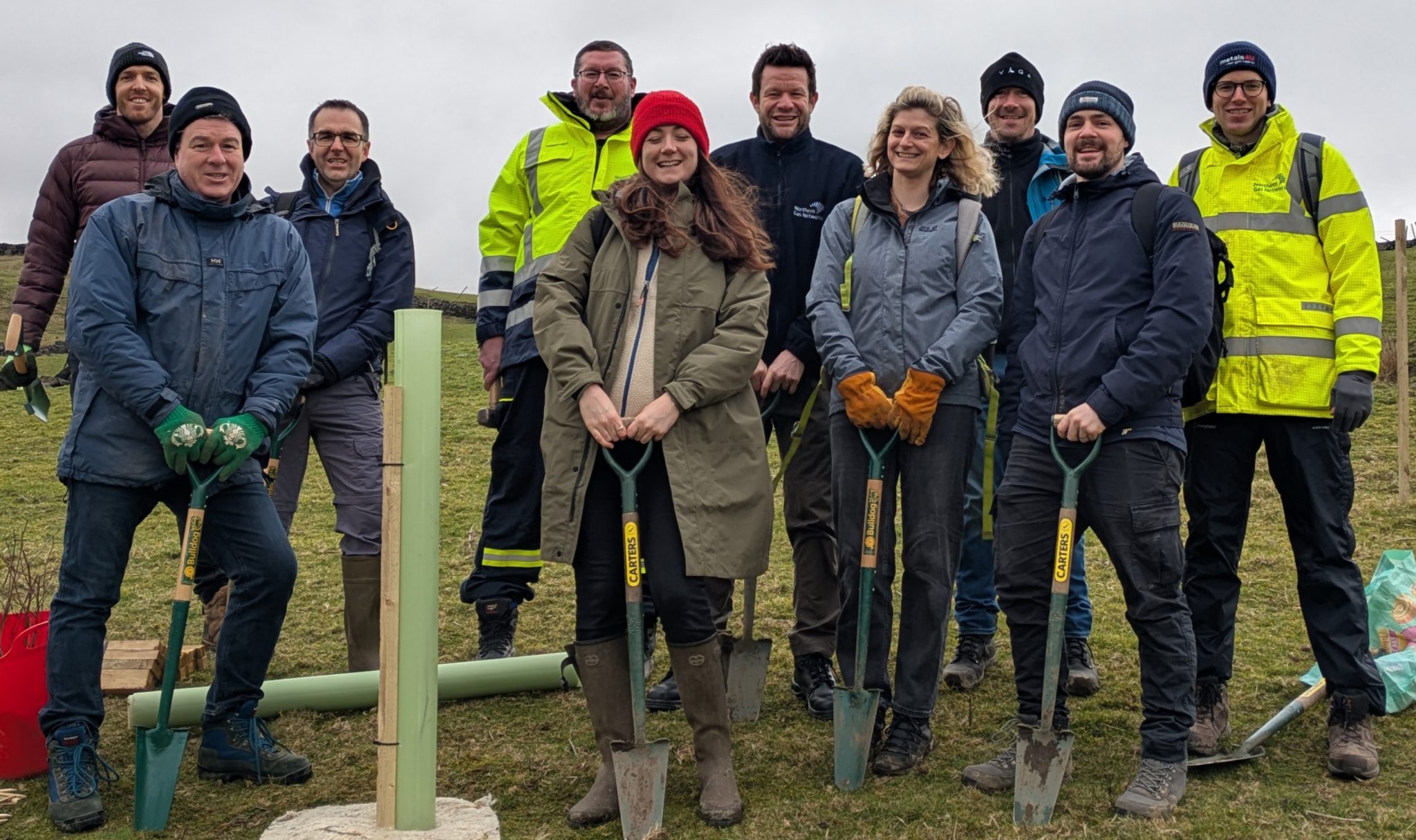 Celebrating Volunteering: Colleagues Plant Trees in White Rose Forest ...
